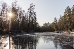 На коньках 2.jpg